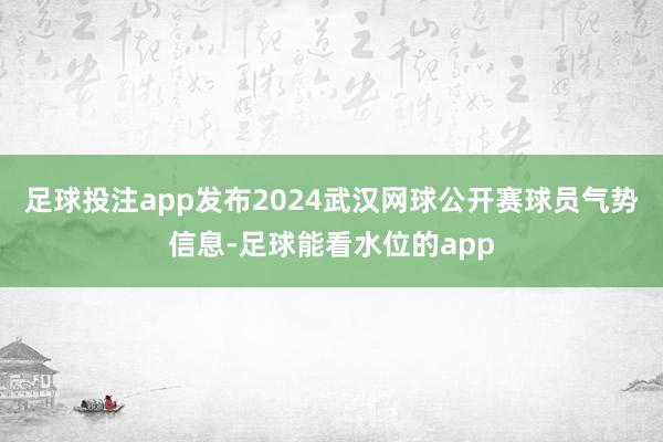 足球投注app发布2024武汉网球公开赛球员气势信息-足球能看水位的app