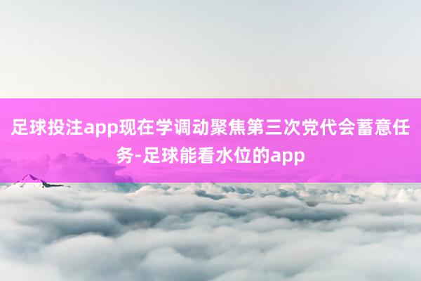 足球投注app现在学调动聚焦第三次党代会蓄意任务-足球能看水位的app