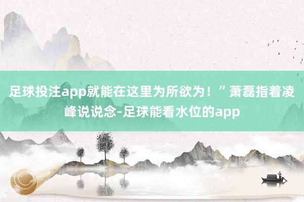 足球投注app就能在这里为所欲为！”萧磊指着凌峰说说念-足球能看水位的app