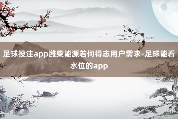 足球投注app潍柴能源若何得志用户需求-足球能看水位的app