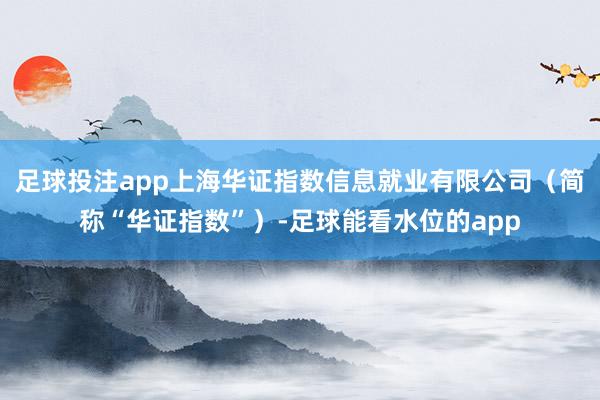 足球投注app上海华证指数信息就业有限公司（简称“华证指数”）-足球能看水位的app