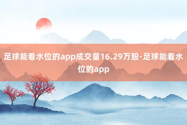 足球能看水位的app成交量16.29万股-足球能看水位的app