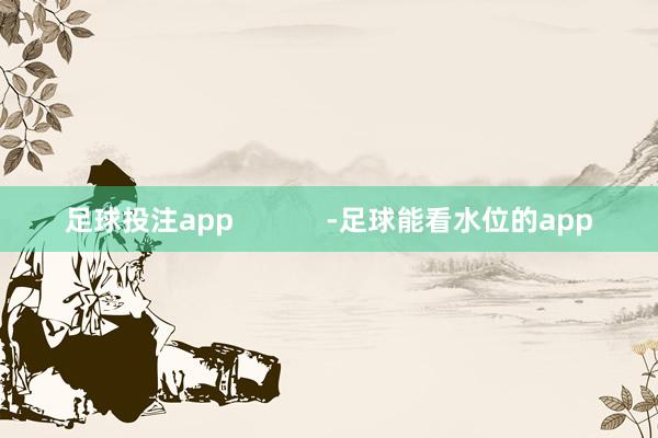 足球投注app            -足球能看水位的app