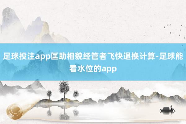 足球投注app匡助相貌经管者飞快退换计算-足球能看水位的app