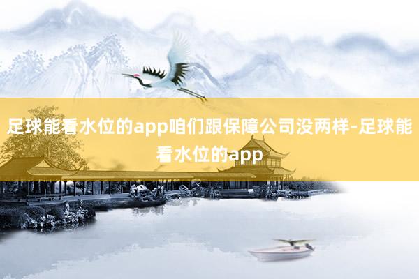 足球能看水位的app咱们跟保障公司没两样-足球能看水位的app