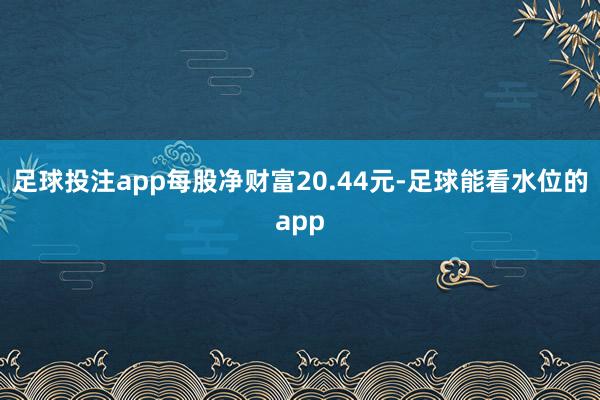 足球投注app每股净财富20.44元-足球能看水位的app