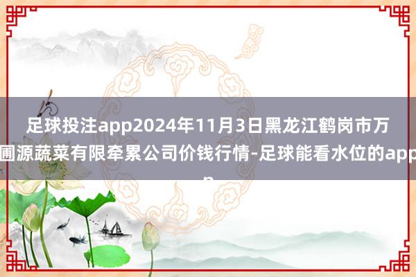 足球投注app2024年11月3日黑龙江鹤岗市万圃源蔬菜有限牵累公司价钱行情-足球能看水位的app