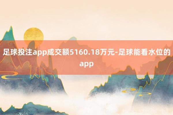 足球投注app成交额5160.18万元-足球能看水位的app