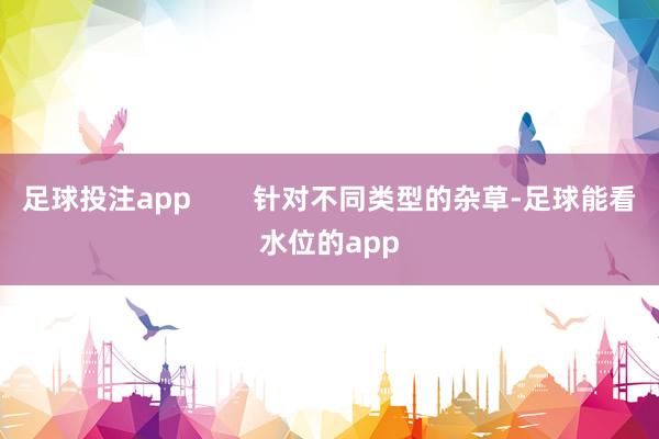 足球投注app        针对不同类型的杂草-足球能看水位的app