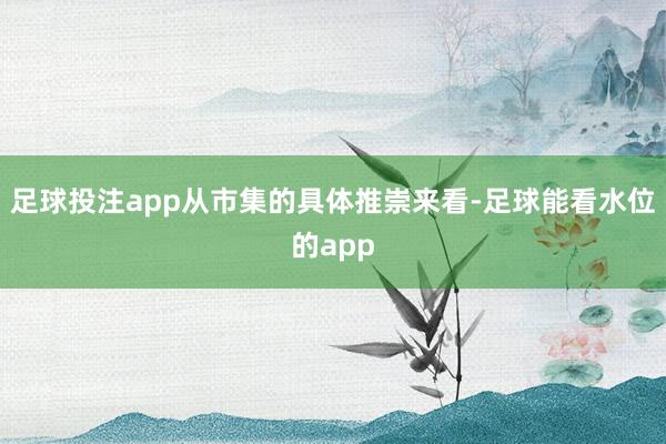 足球投注app　　从市集的具体推崇来看-足球能看水位的app