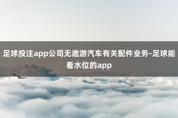 足球投注app公司无遨游汽车有关配件业务-足球能看水位的app