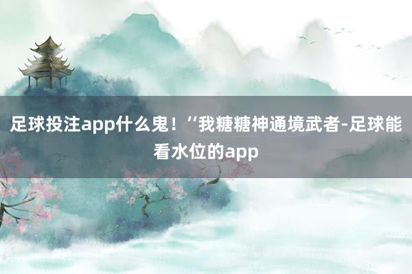 足球投注app什么鬼！’‘我糖糖神通境武者-足球能看水位的app