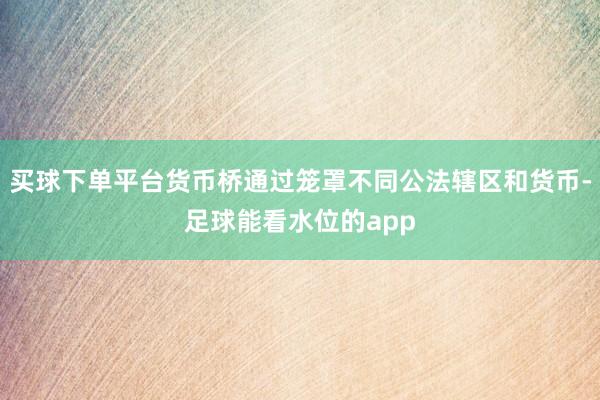 买球下单平台货币桥通过笼罩不同公法辖区和货币-足球能看水位的app