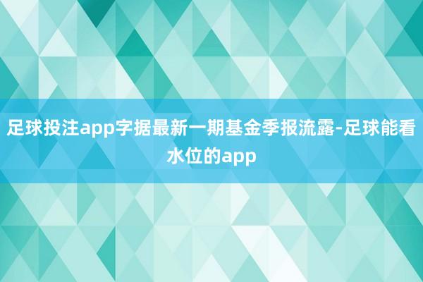 足球投注app字据最新一期基金季报流露-足球能看水位的app