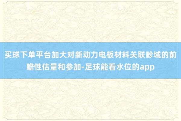 买球下单平台加大对新动力电板材料关联畛域的前瞻性估量和参加-足球能看水位的app