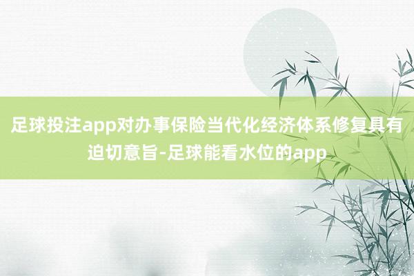 足球投注app对办事保险当代化经济体系修复具有迫切意旨-足球能看水位的app