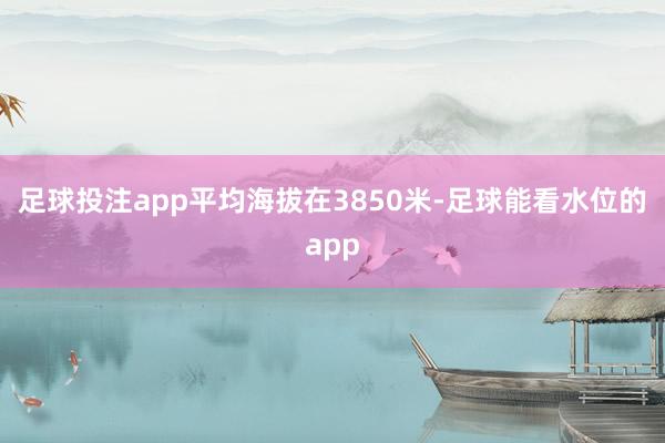 足球投注app平均海拔在3850米-足球能看水位的app