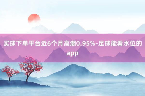 买球下单平台近6个月高潮0.95%-足球能看水位的app