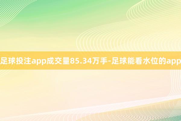 足球投注app成交量85.34万手-足球能看水位的app