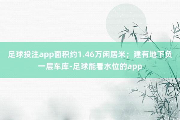 足球投注app面积约1.46万闲居米；建有地下负一层车库-足球能看水位的app