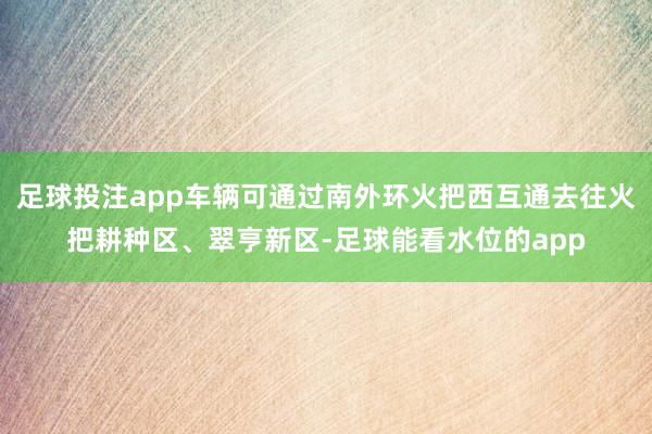 足球投注app车辆可通过南外环火把西互通去往火把耕种区、翠亨新区-足球能看水位的app