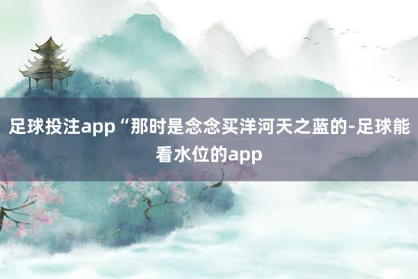 足球投注app“那时是念念买洋河天之蓝的-足球能看水位的app