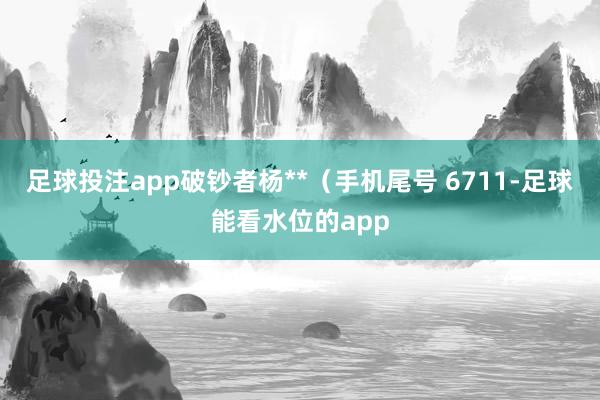 足球投注app破钞者杨**（手机尾号 6711-足球能看水位的app