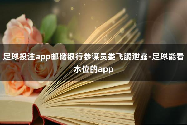 足球投注app邮储银行参谋员娄飞鹏泄露-足球能看水位的app