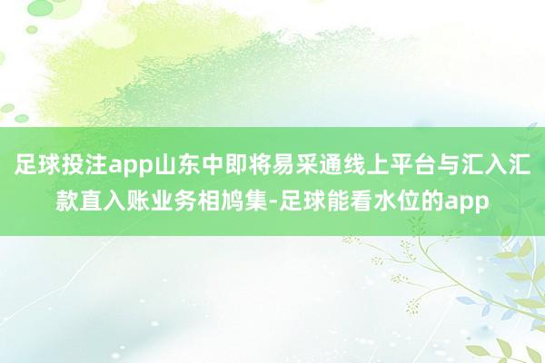 足球投注app山东中即将易采通线上平台与汇入汇款直入账业务相鸠集-足球能看水位的app