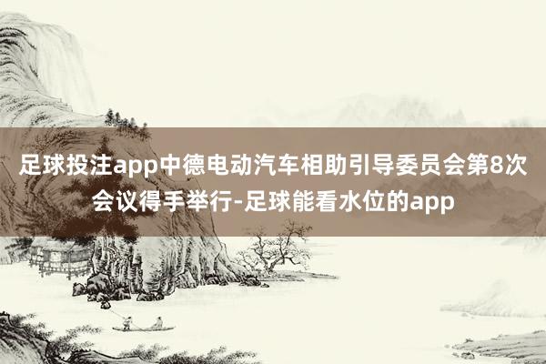 足球投注app中德电动汽车相助引导委员会第8次会议得手举行-足球能看水位的app