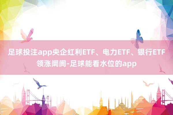 足球投注app央企红利ETF、电力ETF、银行ETF领涨阛阓-足球能看水位的app