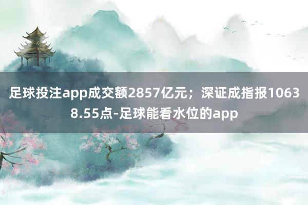 足球投注app成交额2857亿元；深证成指报10638.55点-足球能看水位的app