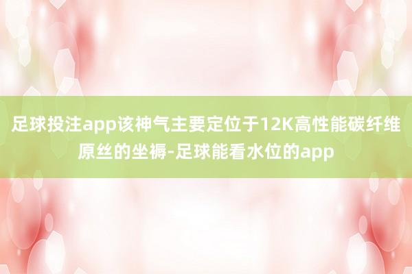 足球投注app该神气主要定位于12K高性能碳纤维原丝的坐褥-足球能看水位的app