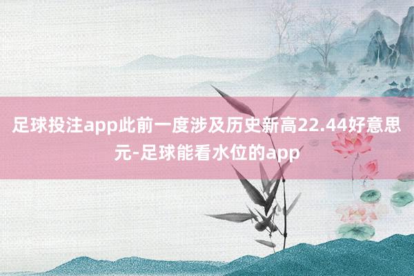 足球投注app此前一度涉及历史新高22.44好意思元-足球能看水位的app