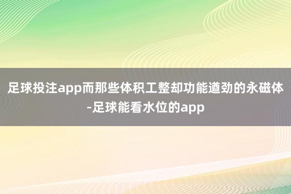 足球投注app而那些体积工整却功能遒劲的永磁体-足球能看水位的app