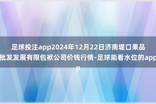 足球投注app2024年12月22日济南堤口果品批发发展有限包袱公司价钱行情-足球能看水位的app