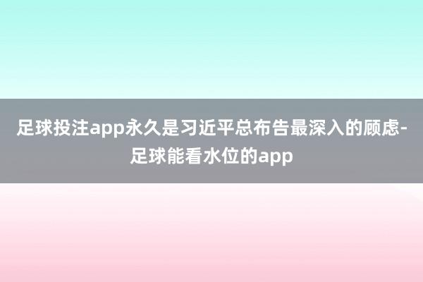 足球投注app永久是习近平总布告最深入的顾虑-足球能看水位的app