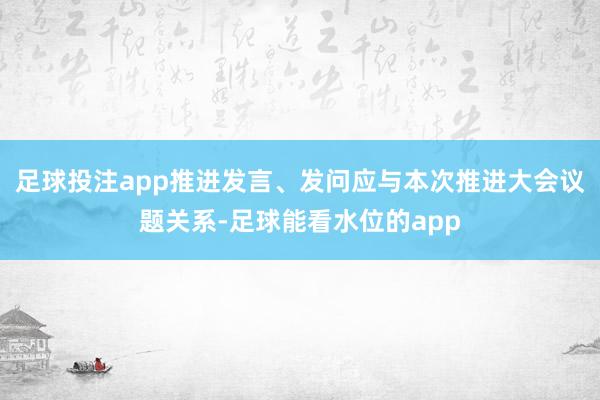 足球投注app推进发言、发问应与本次推进大会议题关系-足球能看水位的app