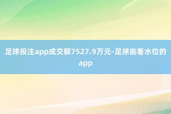 足球投注app成交额7527.9万元-足球能看水位的app