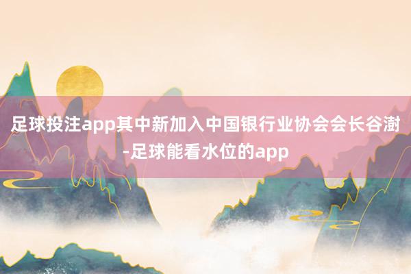 足球投注app其中新加入中国银行业协会会长谷澍-足球能看水位的app