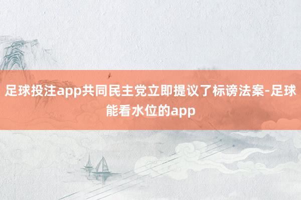 足球投注app共同民主党立即提议了标谤法案-足球能看水位的app