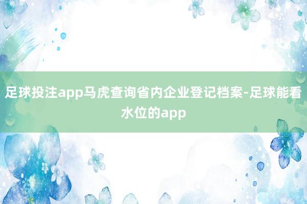 足球投注app马虎查询省内企业登记档案-足球能看水位的app