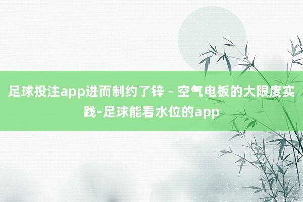 足球投注app进而制约了锌 - 空气电板的大限度实践-足球能看水位的app