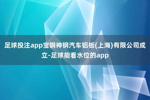 足球投注app宝钢神钢汽车铝板(上海)有限公司成立-足球能看水位的app