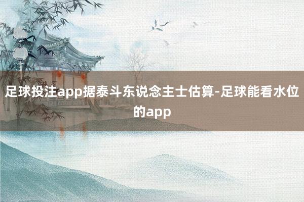 足球投注app据泰斗东说念主士估算-足球能看水位的app