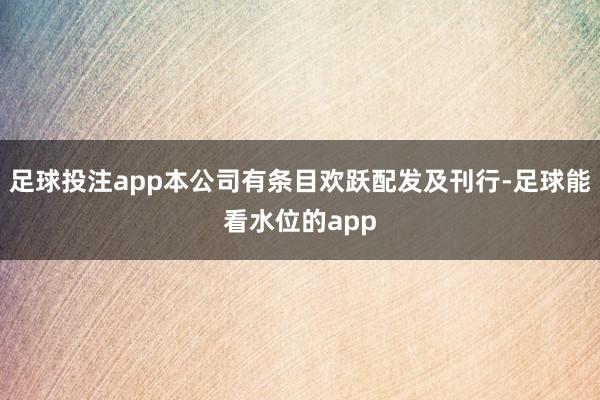 足球投注app本公司有条目欢跃配发及刊行-足球能看水位的app