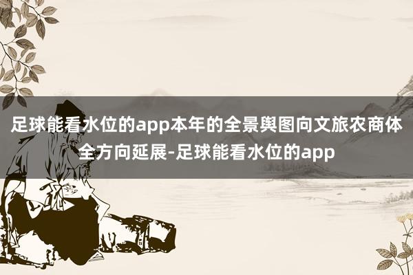 足球能看水位的app本年的全景舆图向文旅农商体全方向延展-足球能看水位的app