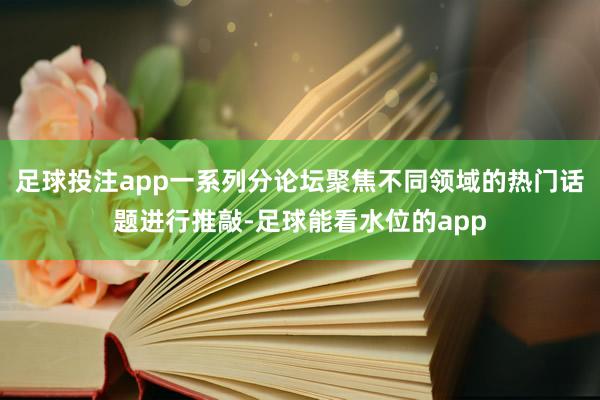 足球投注app一系列分论坛聚焦不同领域的热门话题进行推敲-足球能看水位的app