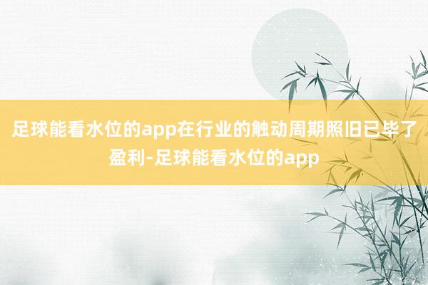 足球能看水位的app在行业的触动周期照旧已毕了盈利-足球能看水位的app