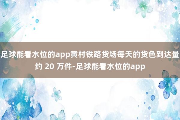 足球能看水位的app黄村铁路货场每天的货色到达量约 20 万件-足球能看水位的app